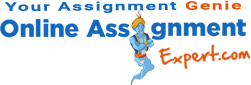 Online Assignment Expert